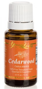 cedarwood essential oil by Young Living Essential Oils