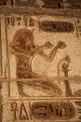 egyptian hieroglyphic