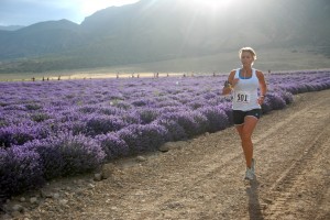 woman running at Run Through the Lavender 5k Race in Mona, UT