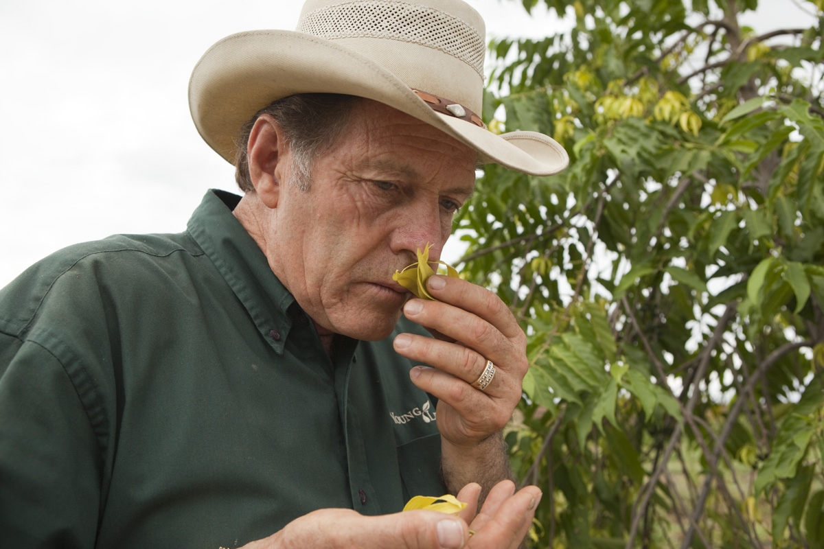 Gary Young smelling Ylang Ylang flower