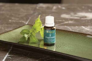 peppermint essential oil by Young Living Essential Oils