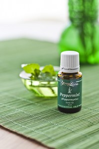 peppermint essential oil by Young Living Essential Oils