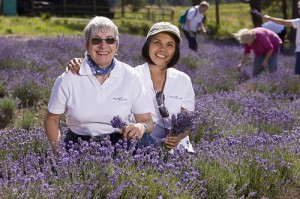 Young Living Essential Oil distributors at lavender farm