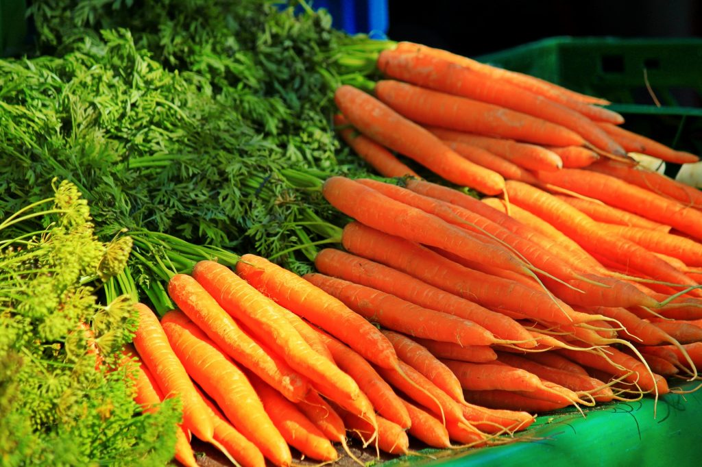 several bunches of carrots