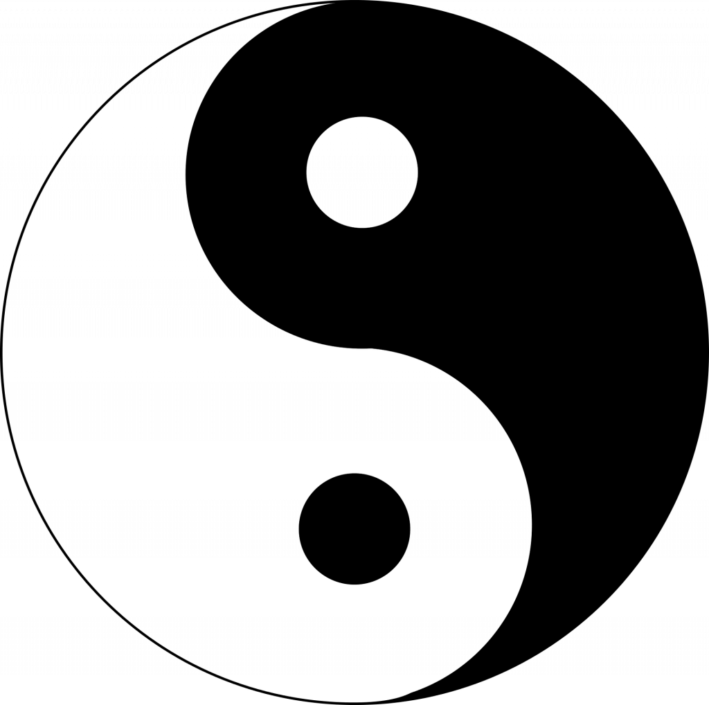 yin yang symbol - a circle with a white swoop with a black "eye" embraced by a black swoop with a white "eye