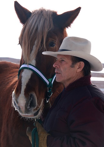 Gary Young with horse at Balsam harvest