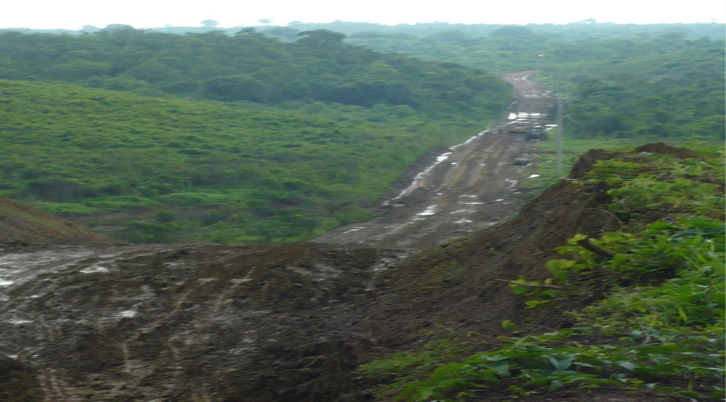 This is part of the 2-mile road Gary built into the Young Living Farm in Ecuador.