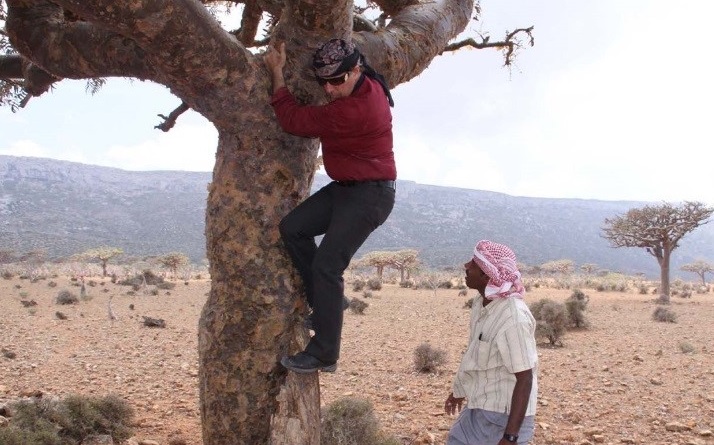 Gary after checking out a Boswellia elongata tree on the Homhill Plateau of Socotra Island, 2009.