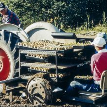 Row planter