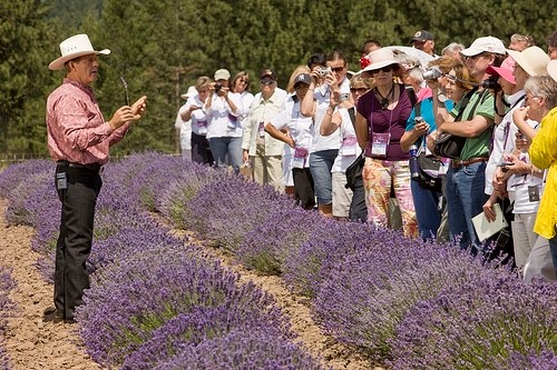 D. Gary Young teaching people, in a field of lavender, how to find the best essential oils.