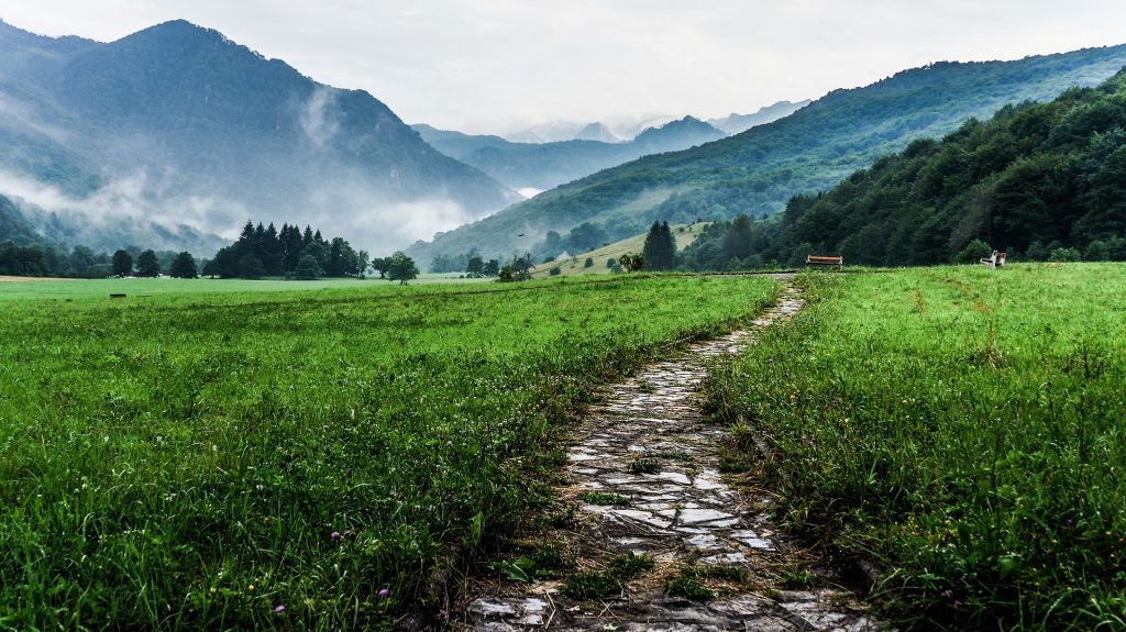 A path through a mountain meadow, leading off into the distance